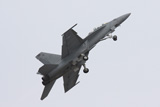 F/A-18F